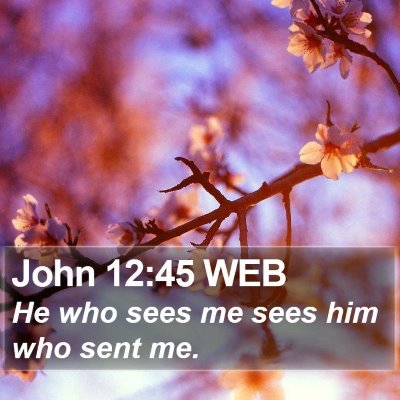 John 12:45 WEB Bible Verse Image