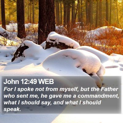 John 12:49 WEB Bible Verse Image