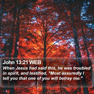 John 13:21 WEB Bible Verse Image
