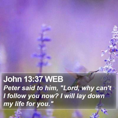 John 13:37 WEB Bible Verse Image
