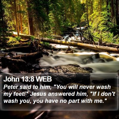John 13:8 WEB Bible Verse Image