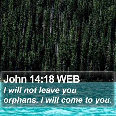 John 14:18 WEB Bible Verse Image