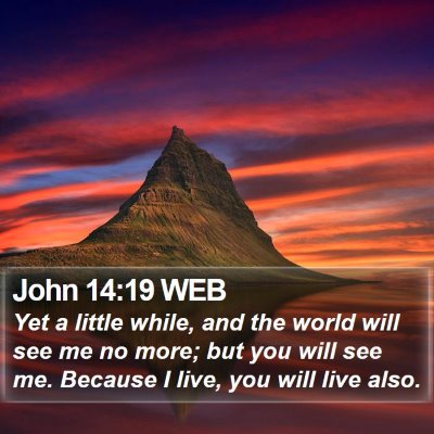 John 14:19 WEB Bible Verse Image