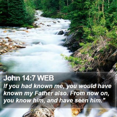John 14:7 WEB Bible Verse Image