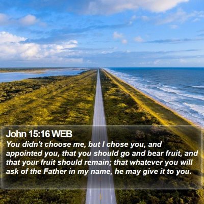 John 15:16 WEB Bible Verse Image