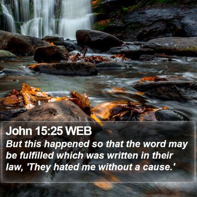 John 15:25 WEB Bible Verse Image