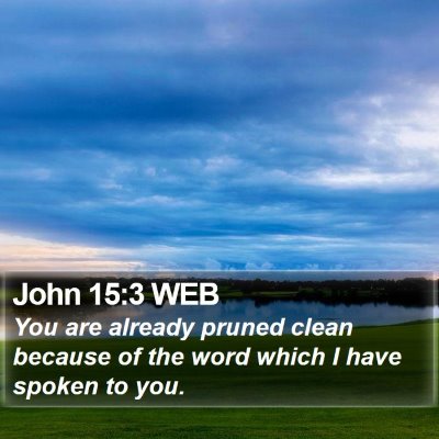 John 15:3 WEB Bible Verse Image