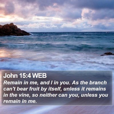John 15:4 WEB Bible Verse Image