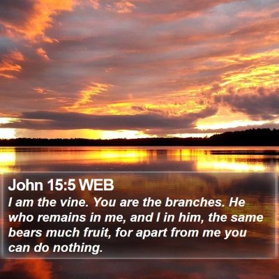 John 15:5 WEB Bible Verse Image