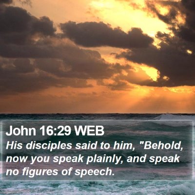 John 16:29 WEB Bible Verse Image