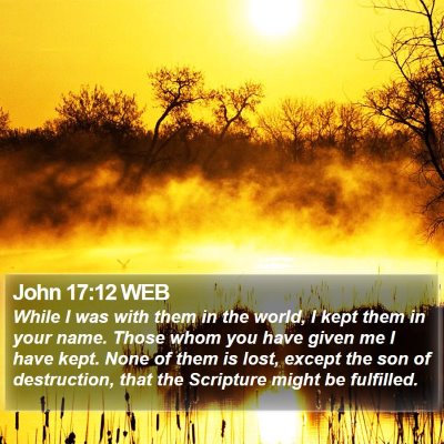 John 17:12 WEB Bible Verse Image