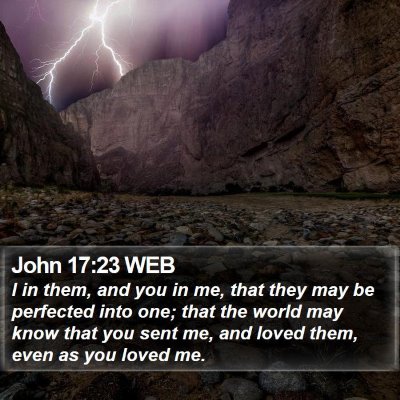 John 17:23 WEB Bible Verse Image