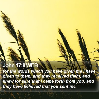 John 17:8 WEB Bible Verse Image