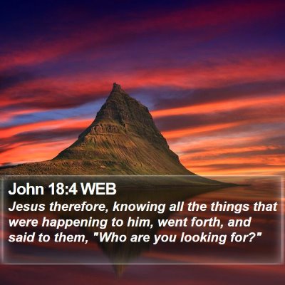 John 18:4 WEB Bible Verse Image