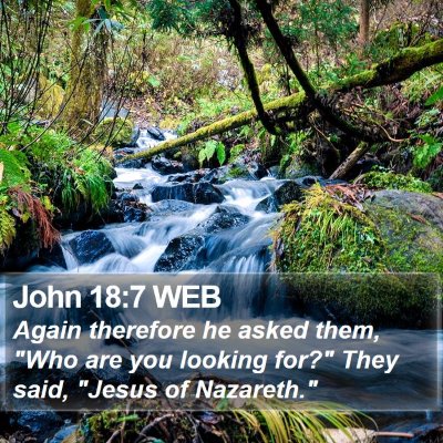 John 18:7 WEB Bible Verse Image