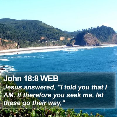 John 18:8 WEB Bible Verse Image