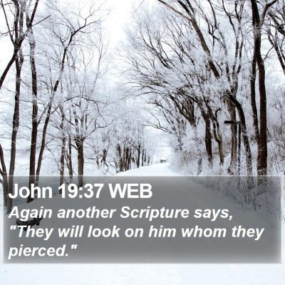 John 19:37 WEB Bible Verse Image
