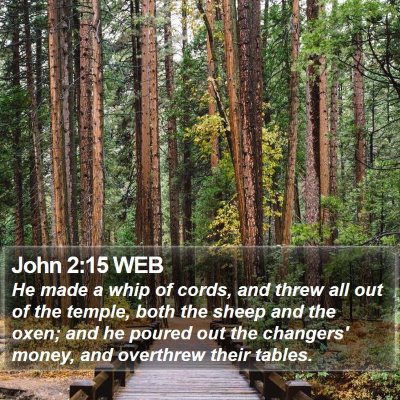 John 2:15 WEB Bible Verse Image