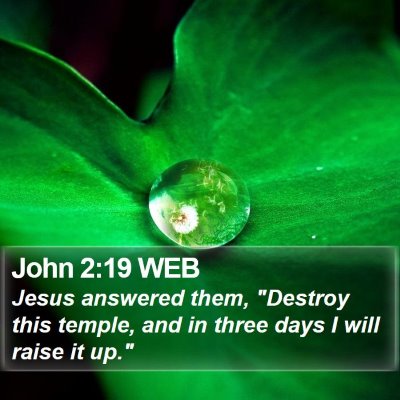 John 2:19 WEB Bible Verse Image