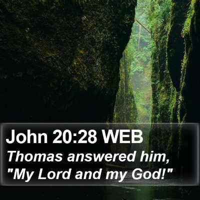 John 20:28 WEB Bible Verse Image