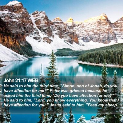 John 21:17 WEB Bible Verse Image