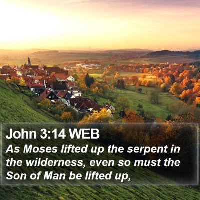 John 3:14 WEB Bible Verse Image
