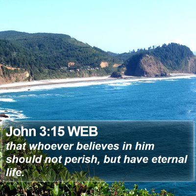 John 3:15 WEB Bible Verse Image