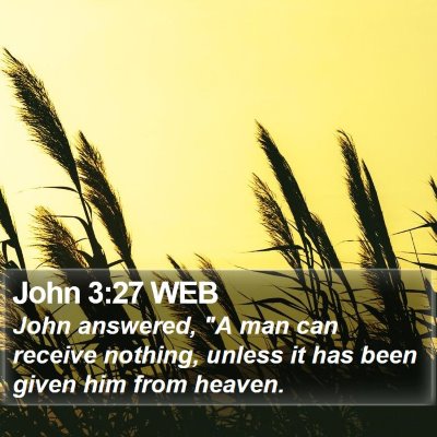 John 3:27 WEB Bible Verse Image