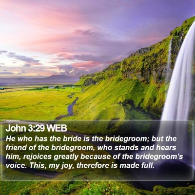 John 3:29 WEB Bible Verse Image