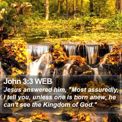John 3:3 WEB Bible Verse Image