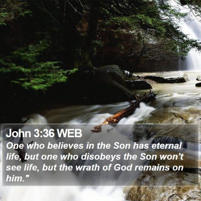 John 3:36 WEB Bible Verse Image