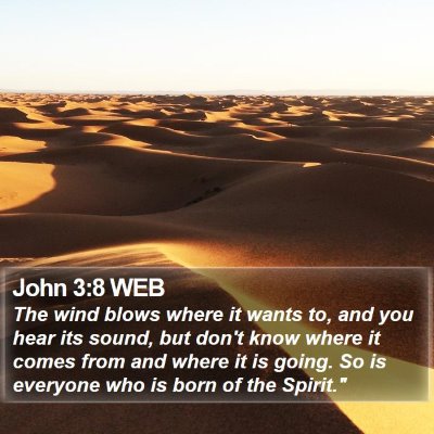 John 3:8 WEB Bible Verse Image