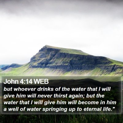 John 4:14 WEB Bible Verse Image