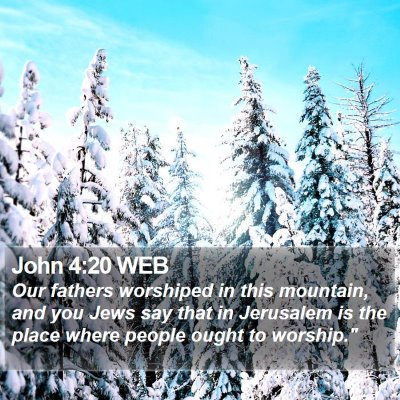 John 4:20 WEB Bible Verse Image