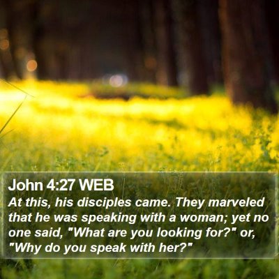 John 4:27 WEB Bible Verse Image