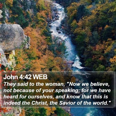 John 4:42 WEB Bible Verse Image