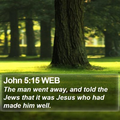 John 5:15 WEB Bible Verse Image