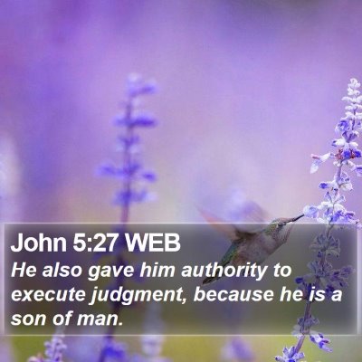 John 5:27 WEB Bible Verse Image