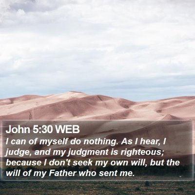 John 5:30 WEB Bible Verse Image