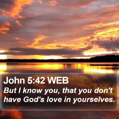 John 5:42 WEB Bible Verse Image