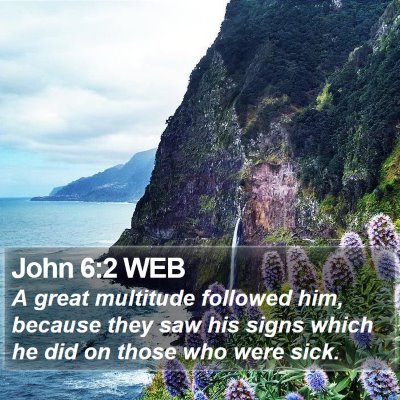 John 6:2 WEB Bible Verse Image