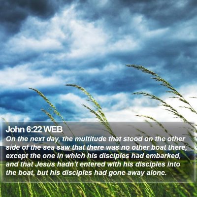 John 6:22 WEB Bible Verse Image