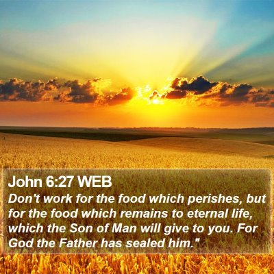 John 6:27 WEB Bible Verse Image