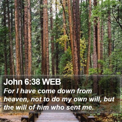 John 6:38 WEB Bible Verse Image
