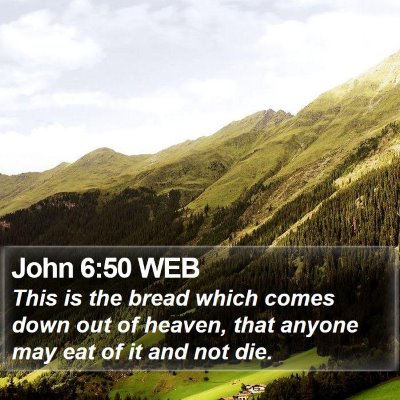 John 6:50 WEB Bible Verse Image