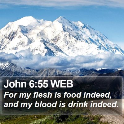 John 6:55 WEB Bible Verse Image