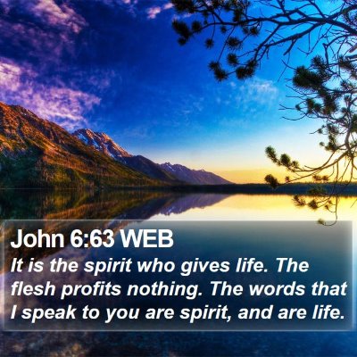 John 6:63 WEB Bible Verse Image