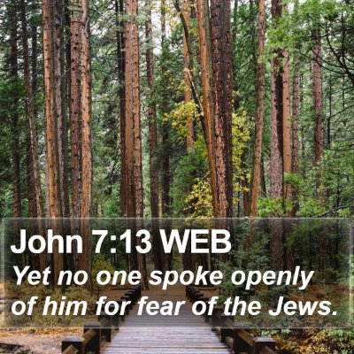 John 7:13 WEB Bible Verse Image