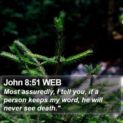 John 8:51 WEB Bible Verse Image