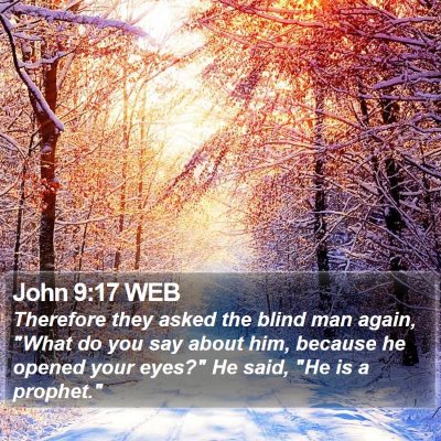 John 9:17 WEB Bible Verse Image